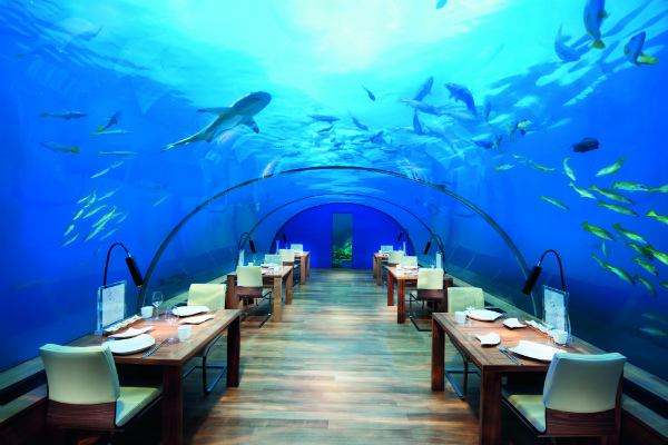 conrad-maldives_ithaa-undersea-restaurant-3