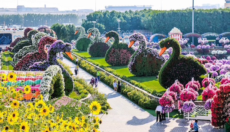 Miracle garden фото