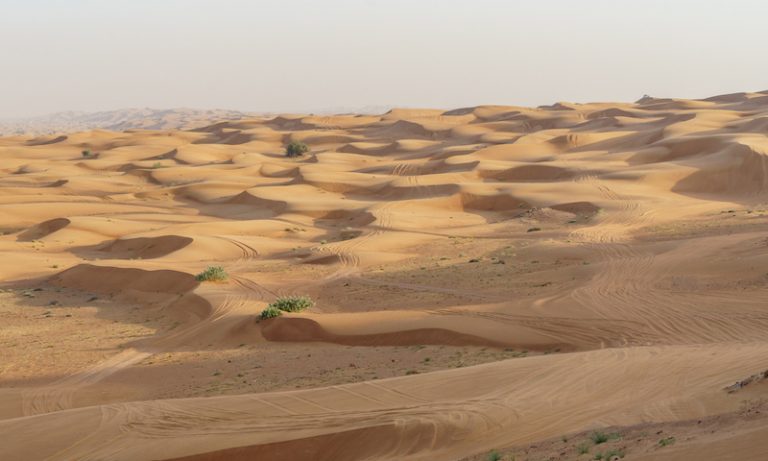 Pakistani man dies after losing his way in the desert outside Saudi ...