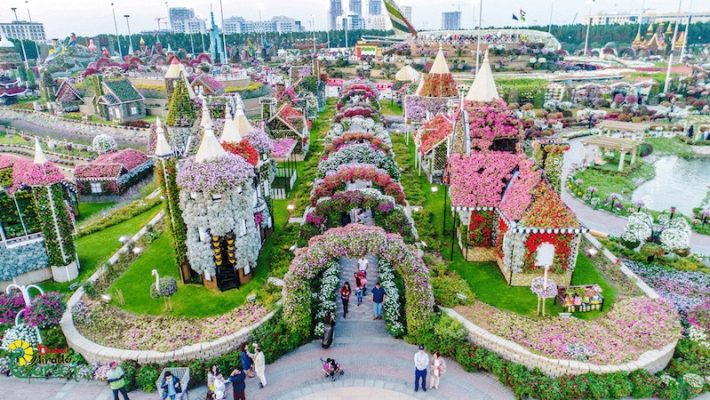 Dubai miracle garden фото