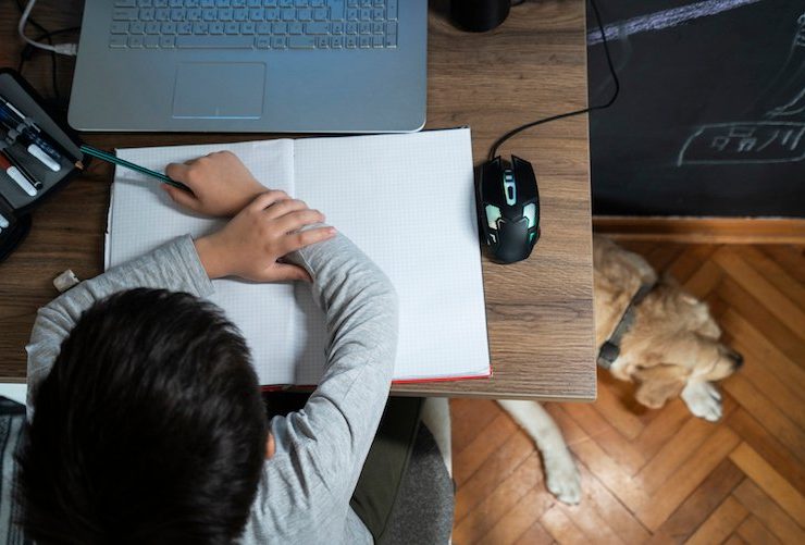 Sharjah private schools e-learning