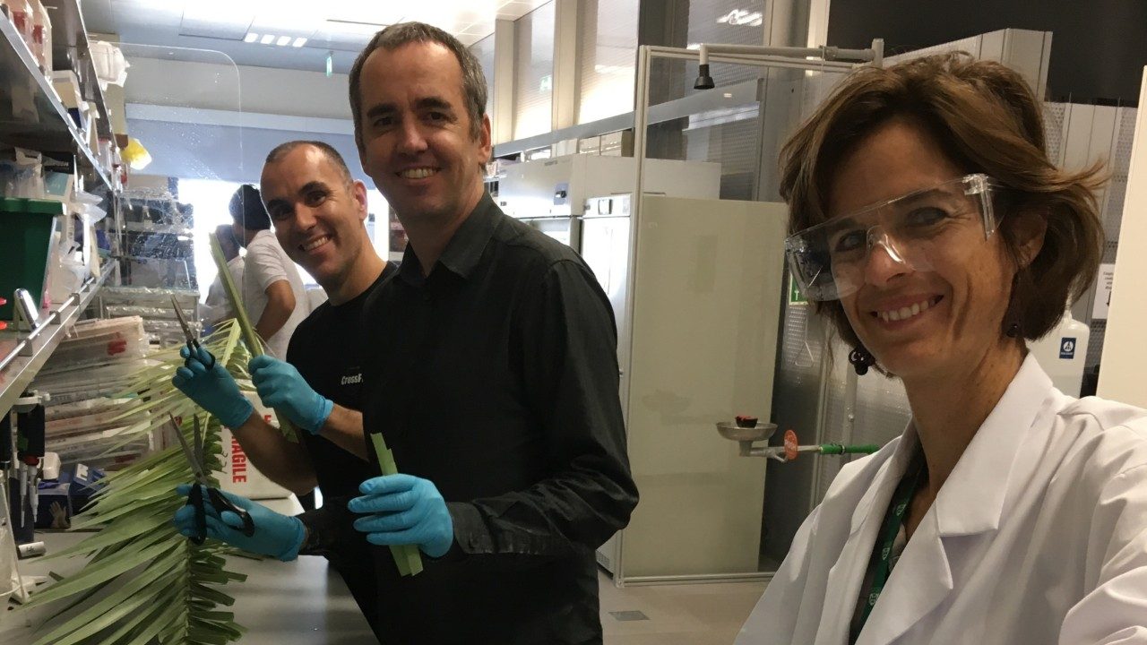 team The research team at the New York University Abu Dhabi