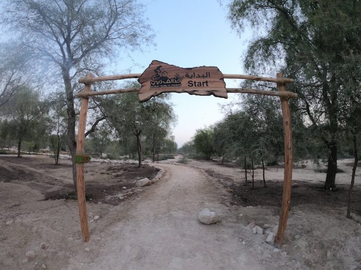 Dubai Mushrif National Park