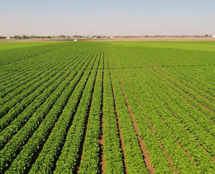 UAE to invest $2bn in India’s ‘food parks’