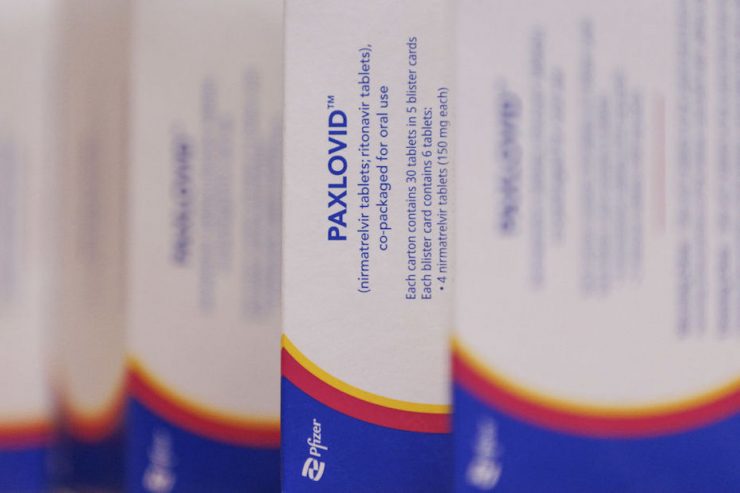 pfizer paxlovid