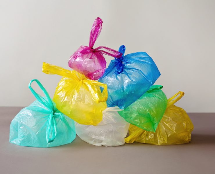 single-use plastic ban starts on Jan 1