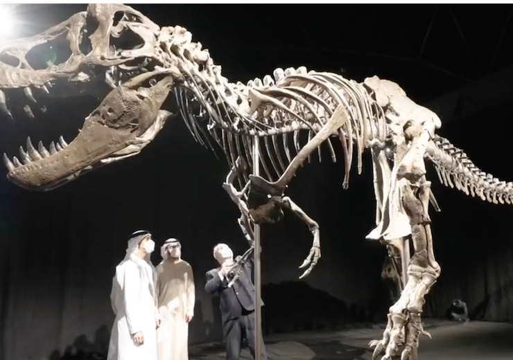 Natural History Museum Abu Dhabi