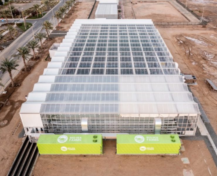Agtech Red Sea farms