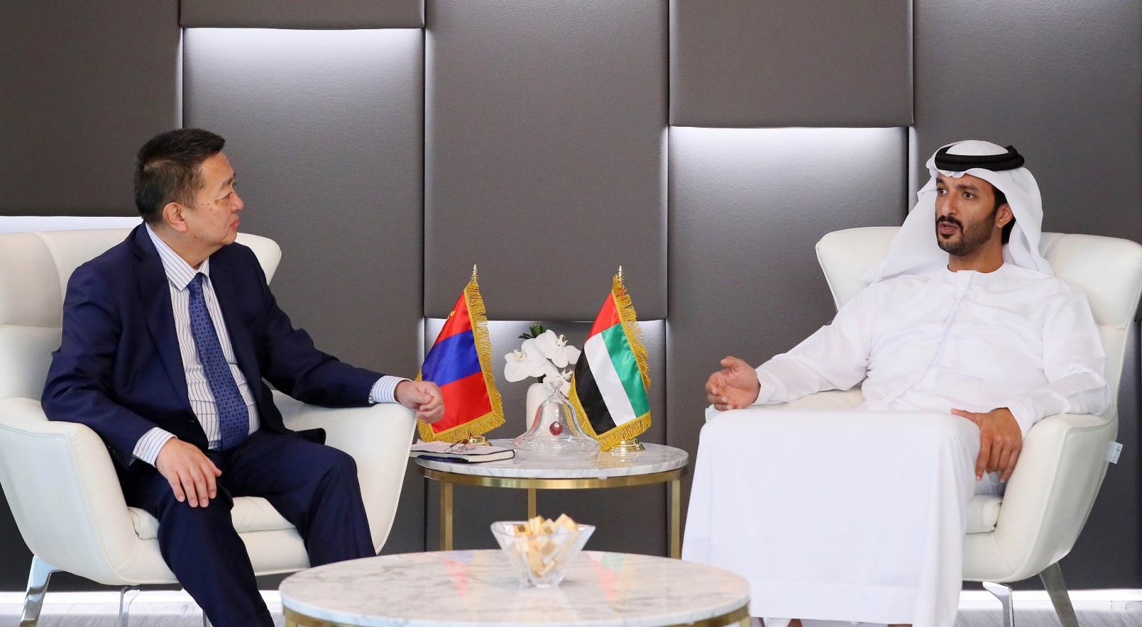 UAE-Mongolia bilateral ties discussed pic courtesy: WAM