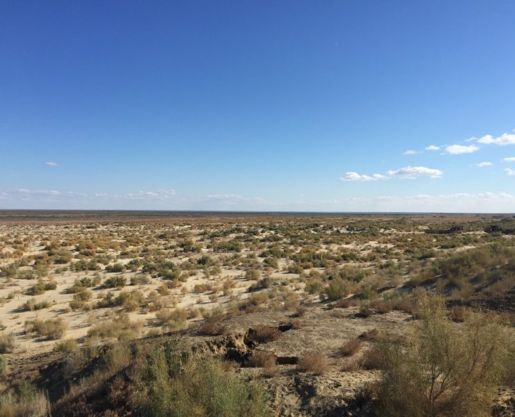 Uzbekistan Agro project funded by ADFD _ Pic courtesy WAM