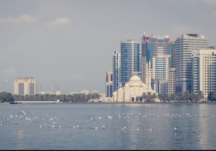 Licences issued, renewed in Sharjah