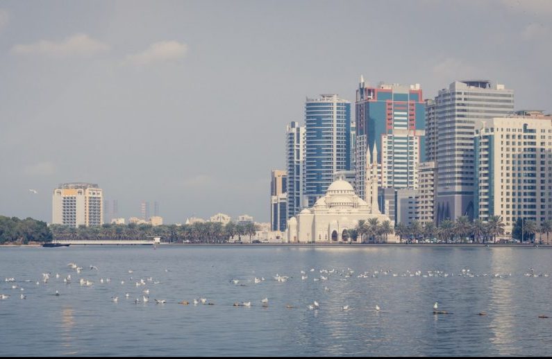 Licences issued, renewed in Sharjah