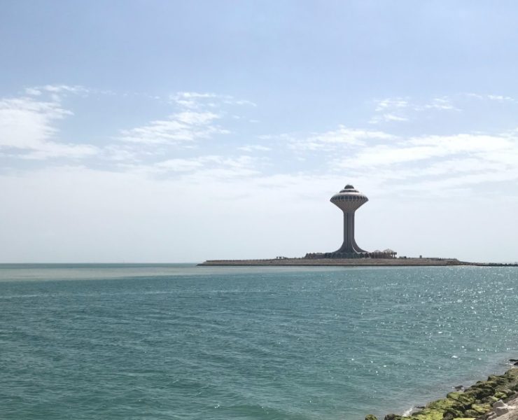 Saudi Crown Prince launches new company to develop downtown areas in 12 cities