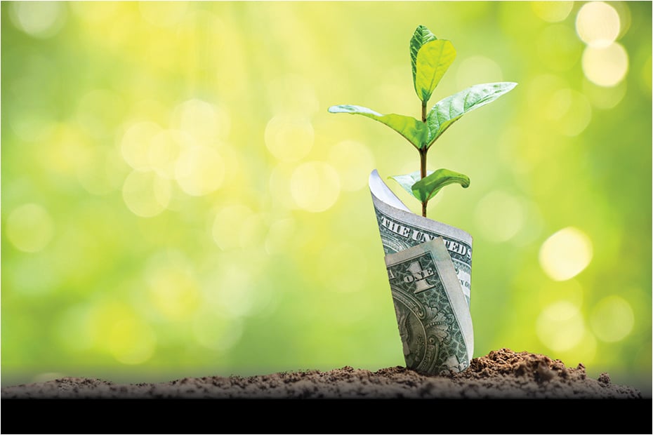 ESG investing in the MENA region