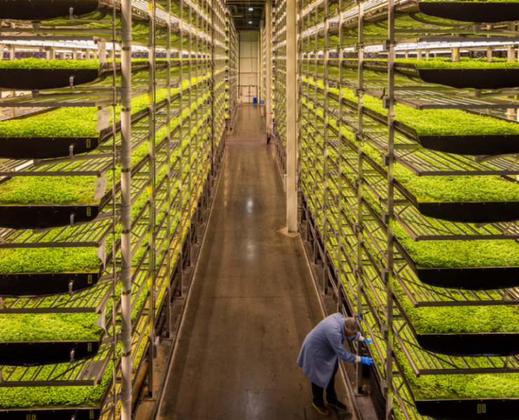 vertical farms