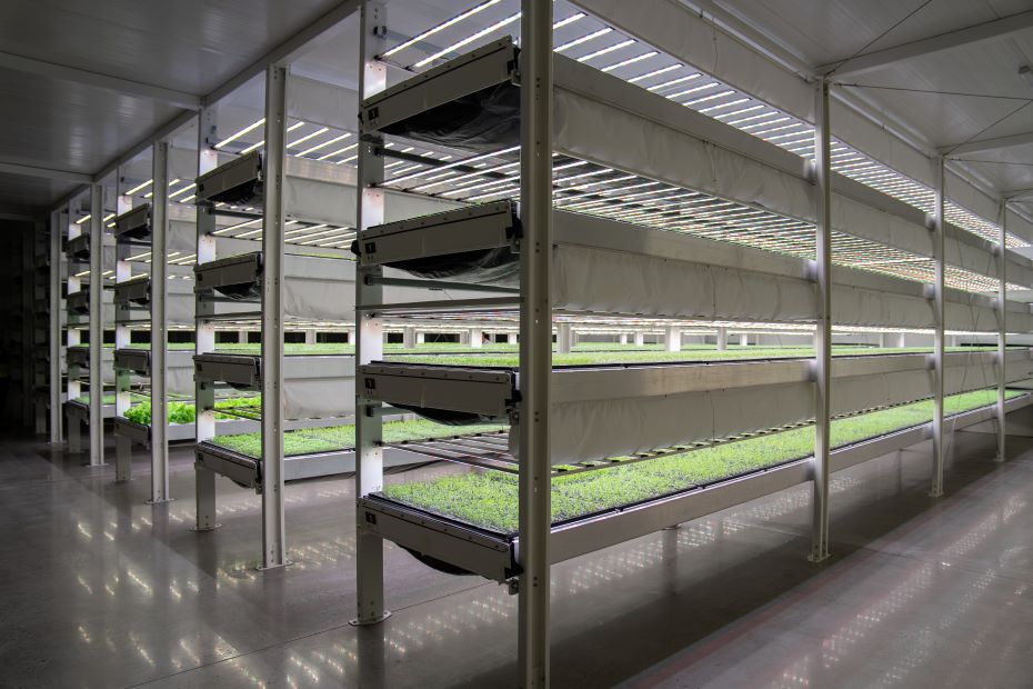 Agtech Park Launches Vertical Farming Project On March 22 5929