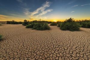 Hot areas create extreme drought conditions. Image credit: WMO