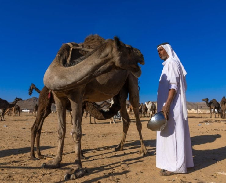 Saudi wealth fund sets up Sawani