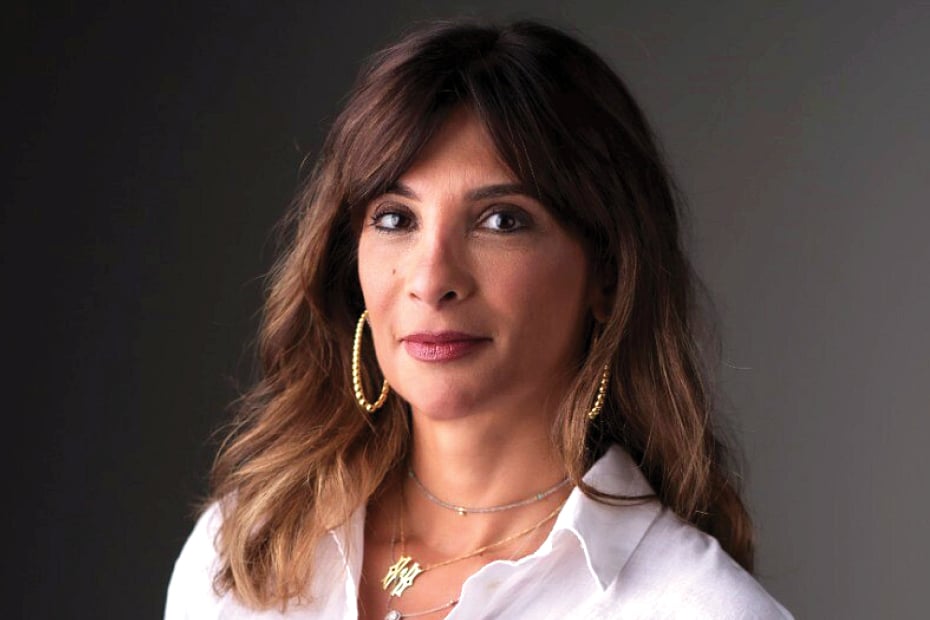 Hanadi Khalife head of ICAEW on how the public and provate sector shoud finance the green transition Image ICAEW