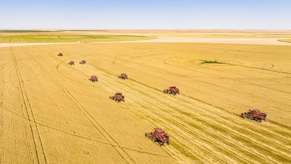 Al Dhara and ADEX to supply wheat to Egypt in $500m deal image WAM