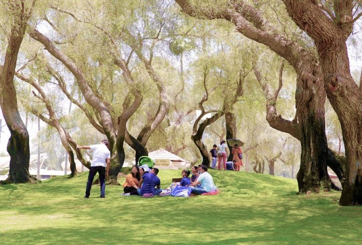 Dubai parks H1 2023 Image WAM Dubai Municipality