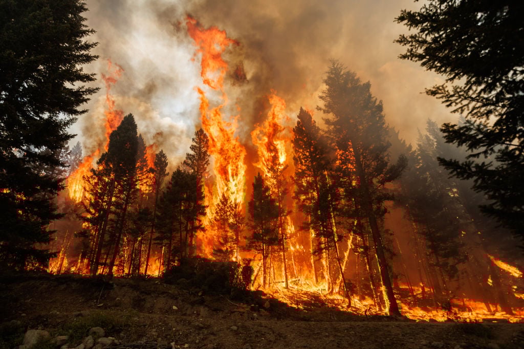Canada's Record Wildfire Season Set to Worsen as Heat Builds