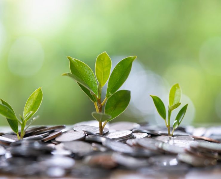 How regional banks can help build a greener economy