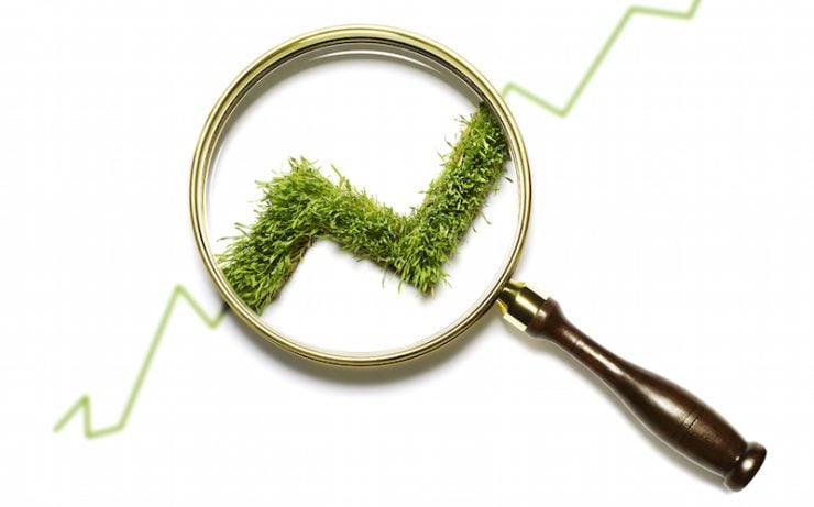 UAEs UBF on how the banking sector-is-supporting-green-finance-initiatives-GettyImages-83975094