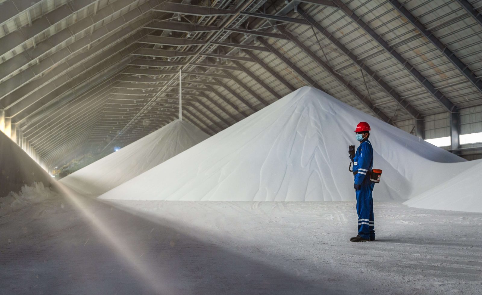 Fertiglobe, AD Ports to explore supply chain opportunities