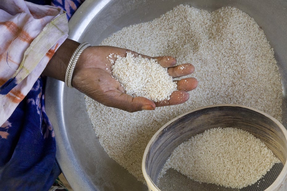 Rice export on sale