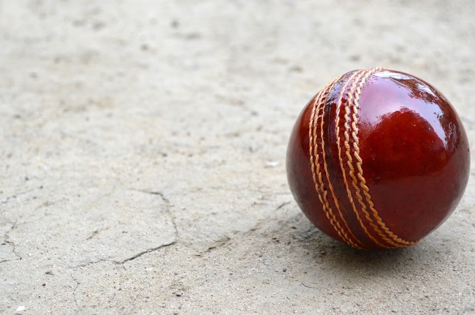 Cricket Ball On The Pitch