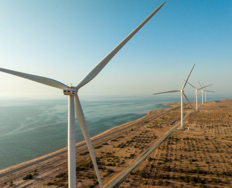 UAE unveils first wind power plants ahead of COP28