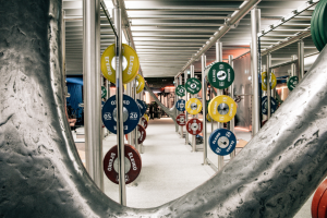 Here’s why investing in gym business makes sense 