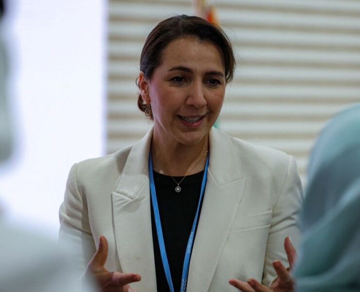 Ex-UAE climate change minister to head IHC’s $27bn fund