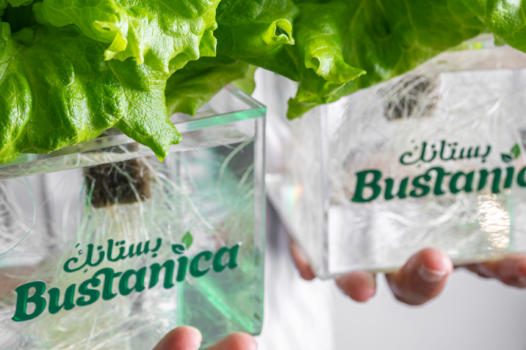 Emirates bets on vertical farming with Bustanica deal