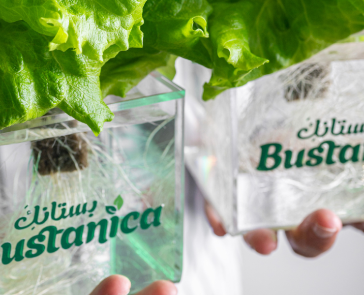 Emirates bets on vertical farming with Bustanica deal