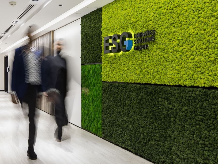 IHC's Emirates Stallions Group