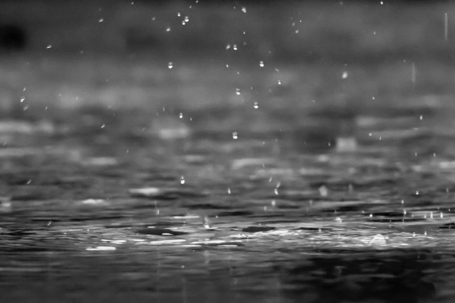 UAE WEATHER - RAIN - FLEXIBLE WORK - REMOTE LEARNING