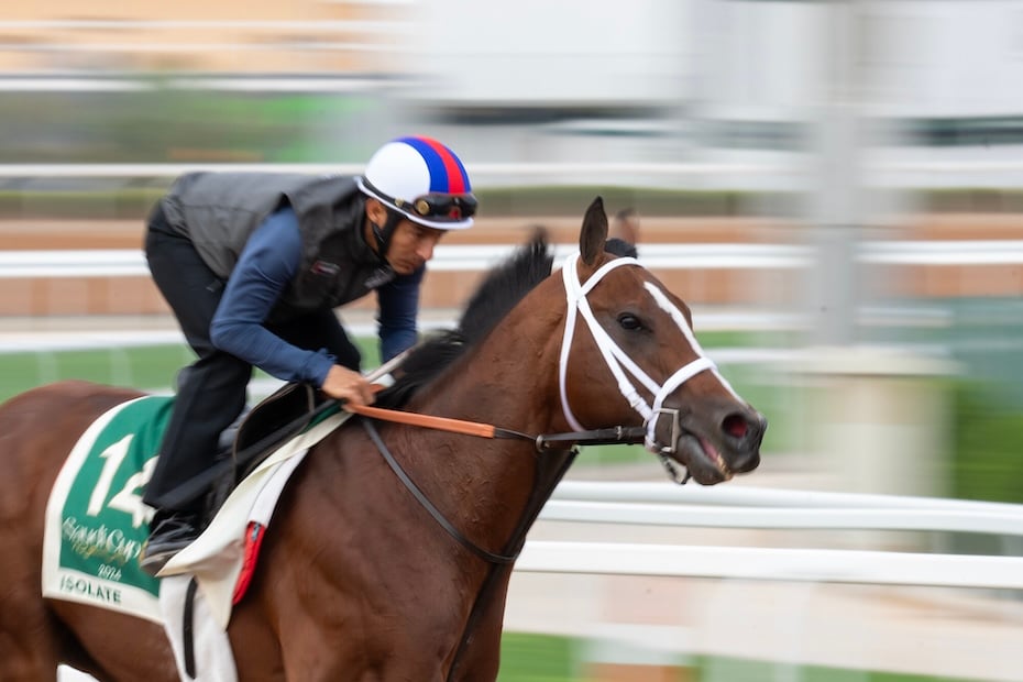 Saudi Cup is world’s richest horse race with $20m prize money: Interesting facts to know