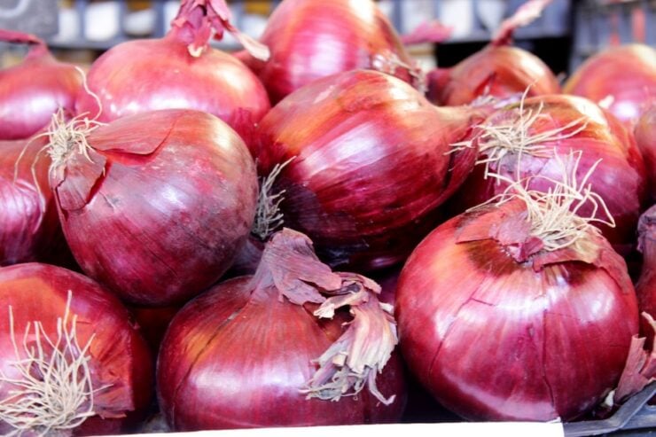 onion ban - India