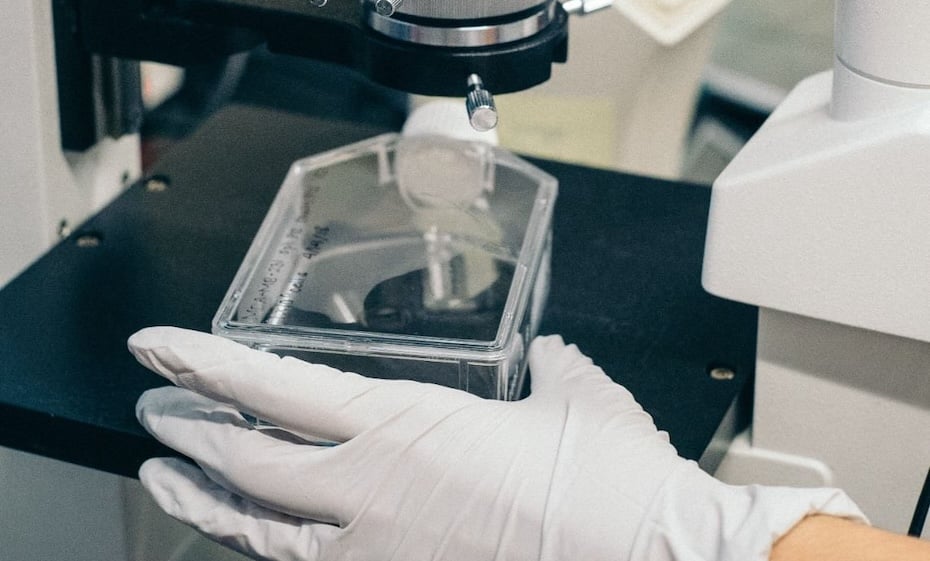 Mubadala to acquire Kelix Bio Image WAM