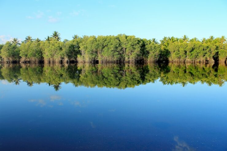 Financing nature-based solutions in the MENA Region