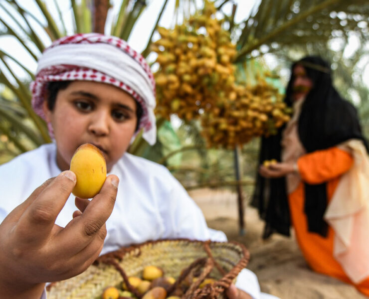 Abu Dhabi unveils AGWA to boost food security