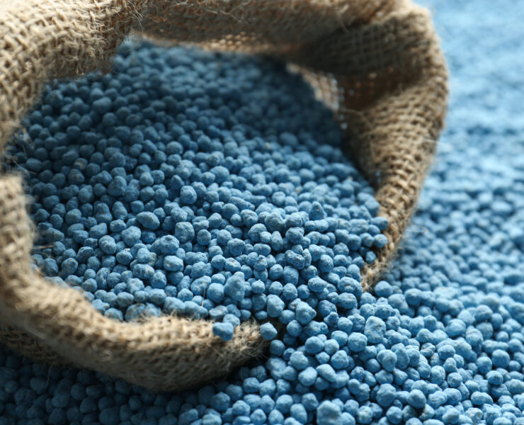 TA’ZIZ, Japan’s Mitsui build ammonia plant in UAE, to start production in 2027