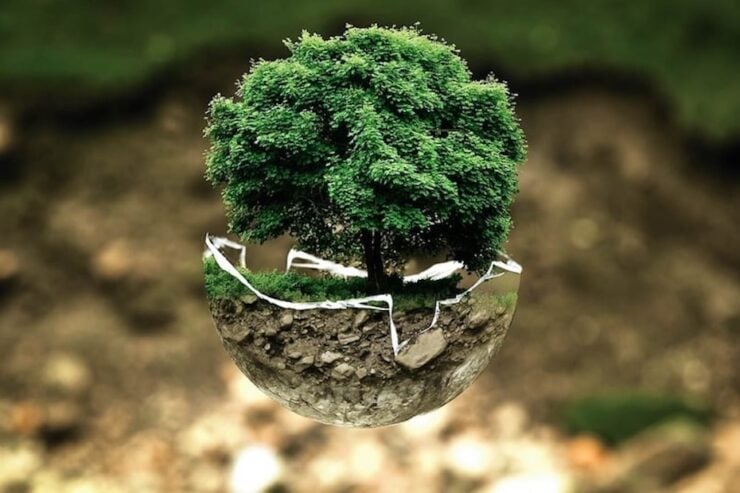 world environment day