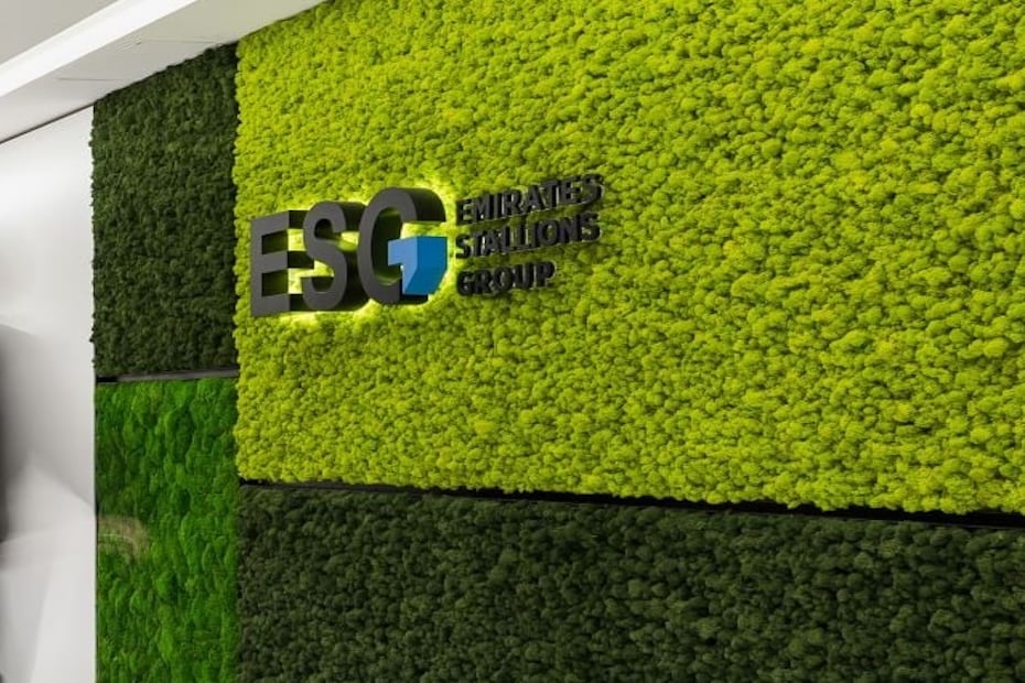 IHC SUBSIDIARY ESG