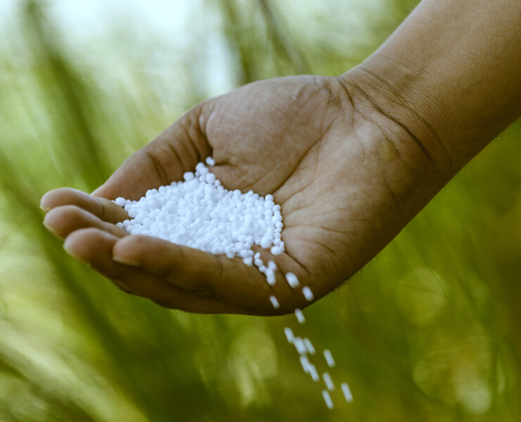 Fertiglobe wins bid to supply renewable ammonia