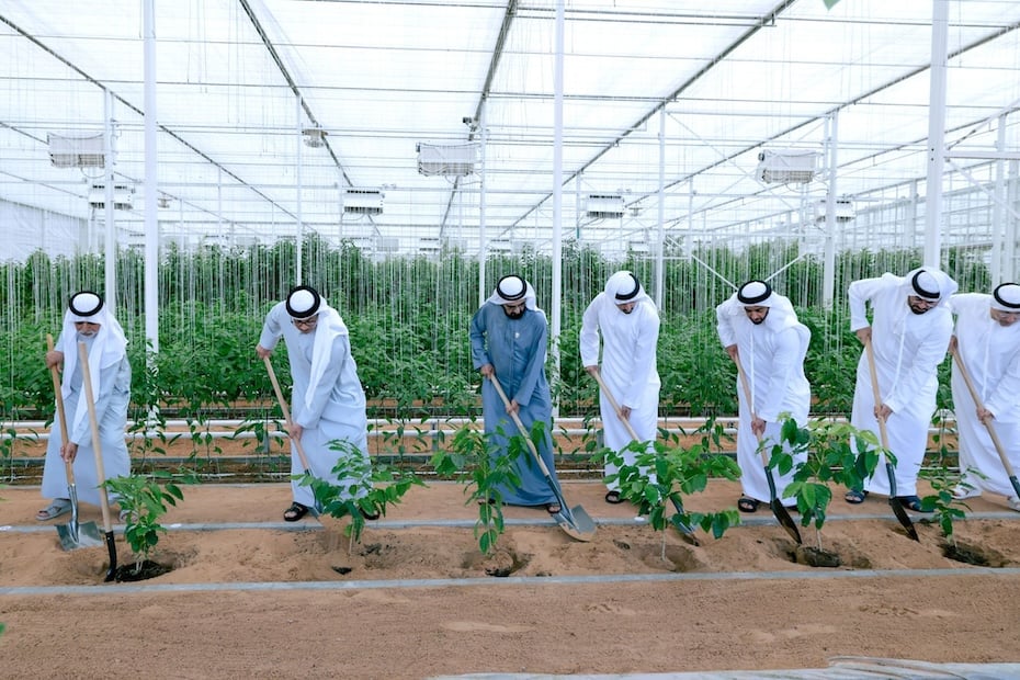 Sheikh Mohammed launches ‘Plant the Emirates’ programme