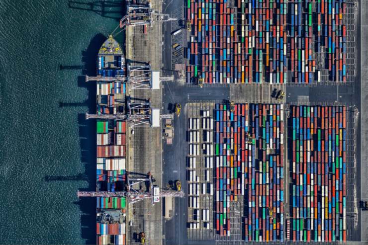 Global trade set for mild contraction in 2025, reveals WTO report