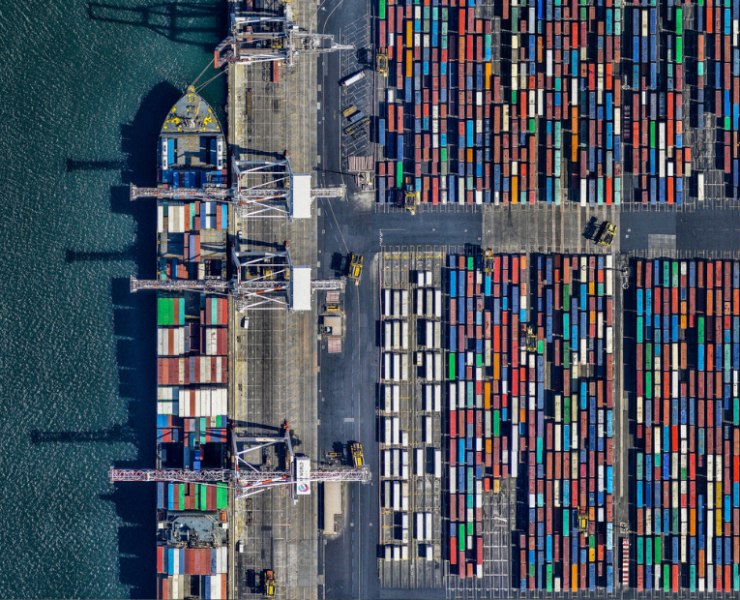 Global trade set for mild contraction in 2025, reveals WTO report